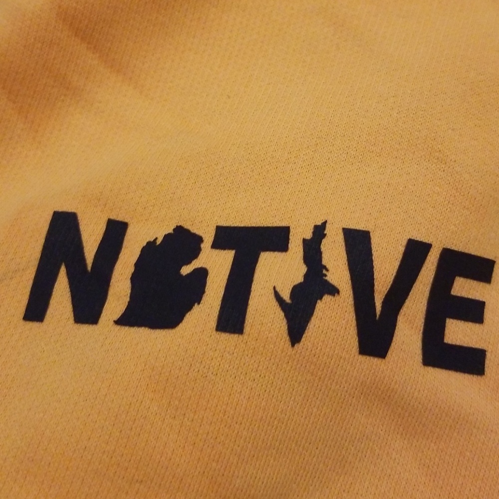 Native hoodie
